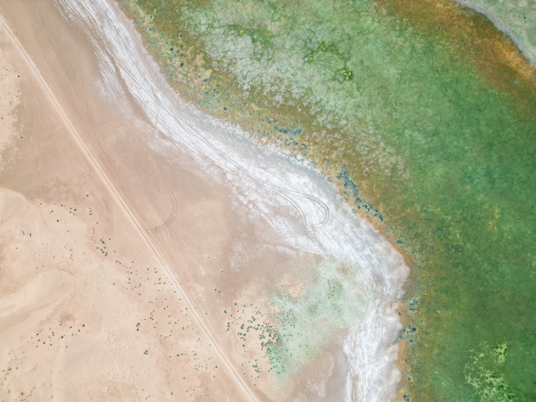 Tenggeli Desert, Ningxia 2025