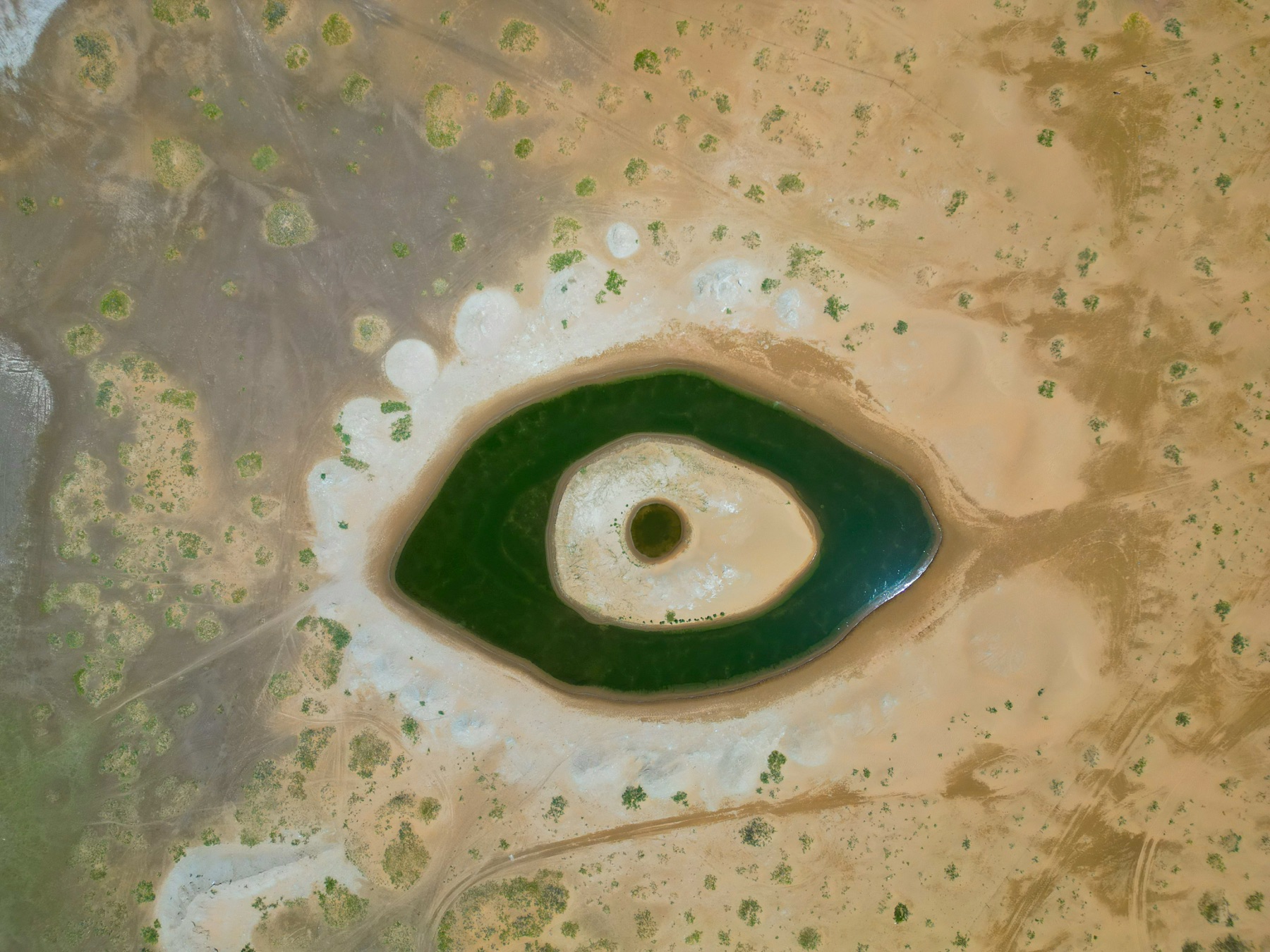 Tenggeli Desert, Ningxia 2025