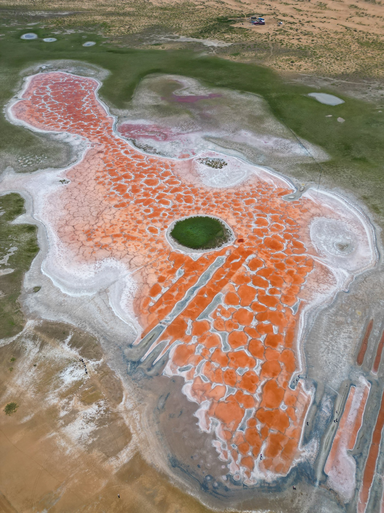 Tenggeli Desert, Ningxia 2025