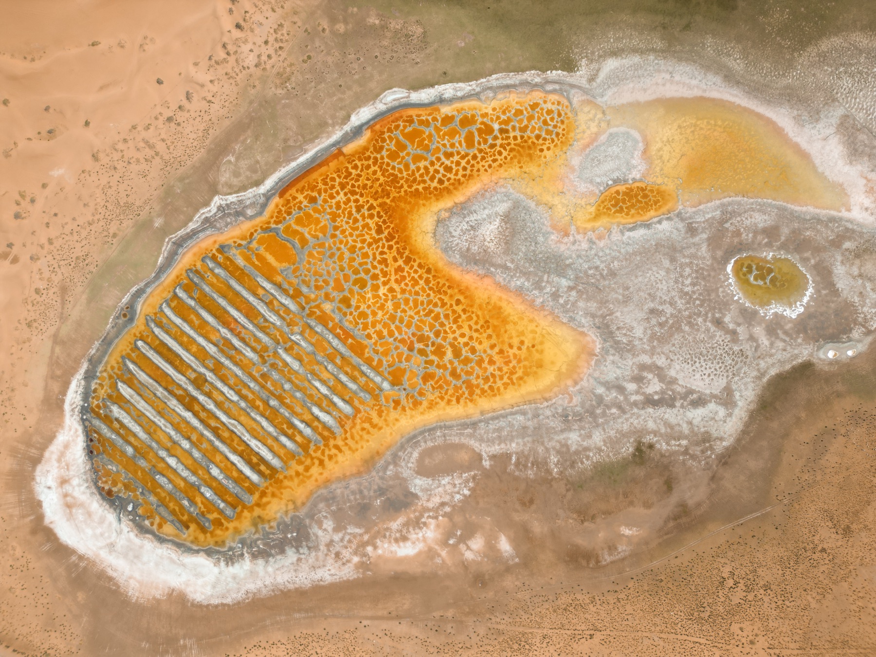 Tenggeli Desert, Ningxia 2025