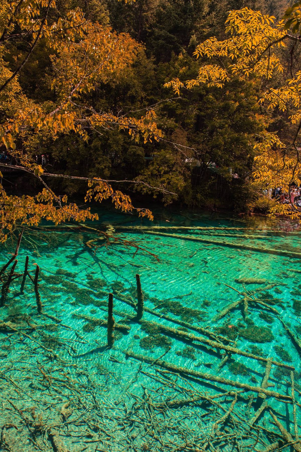 Jiuzhai Valley National Park, Sichuan 2023