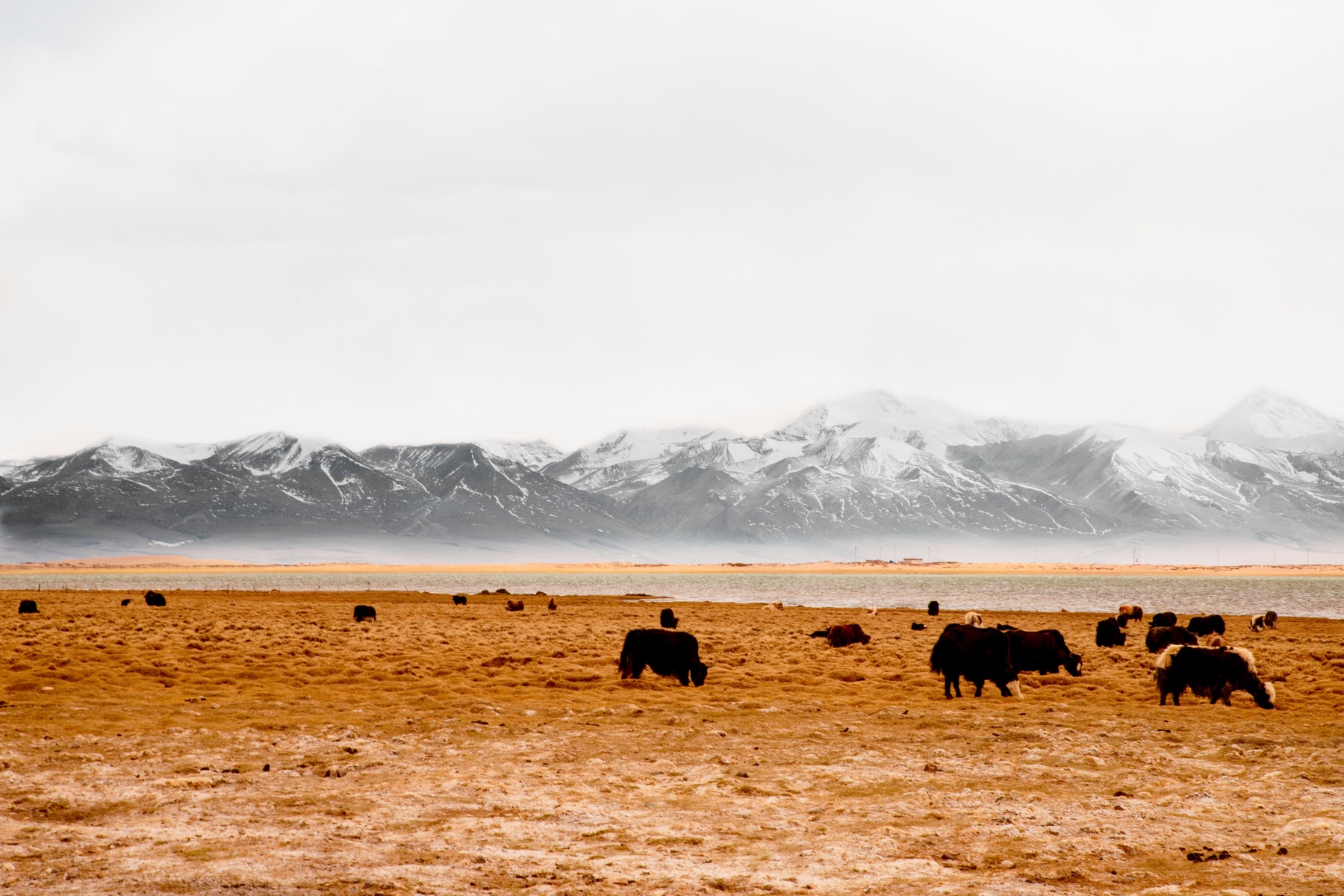 Tibet 2023