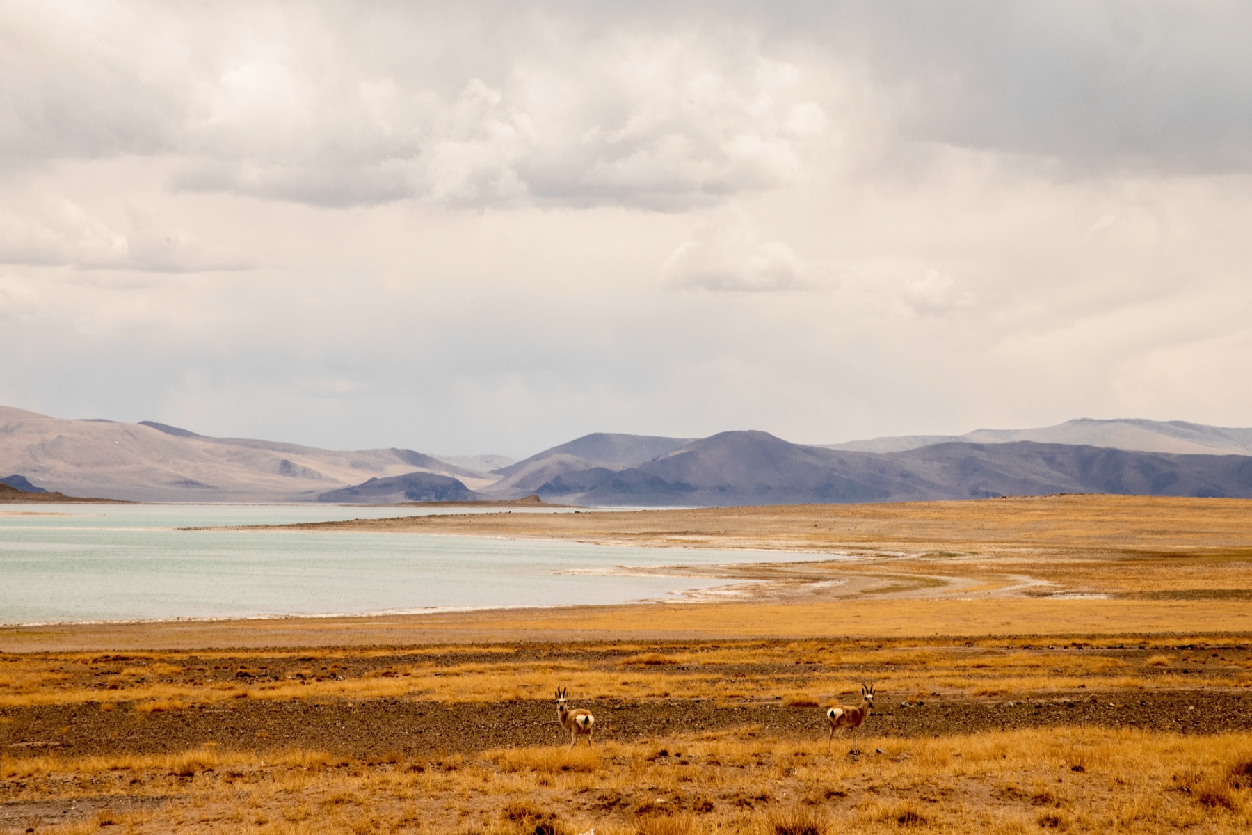 Tibet 2023