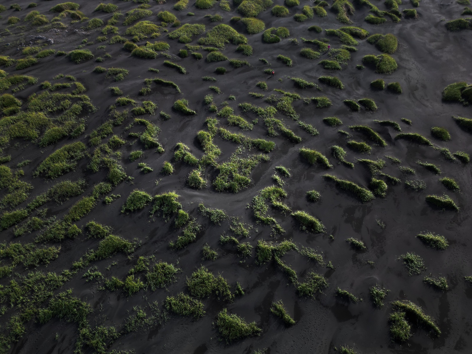 Stokksnes, South Coast 2024