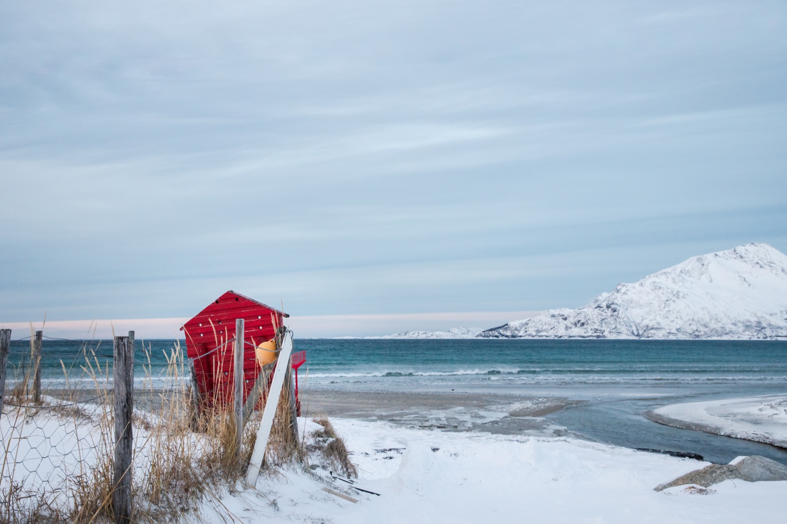 Fjord, Tromsø 2024