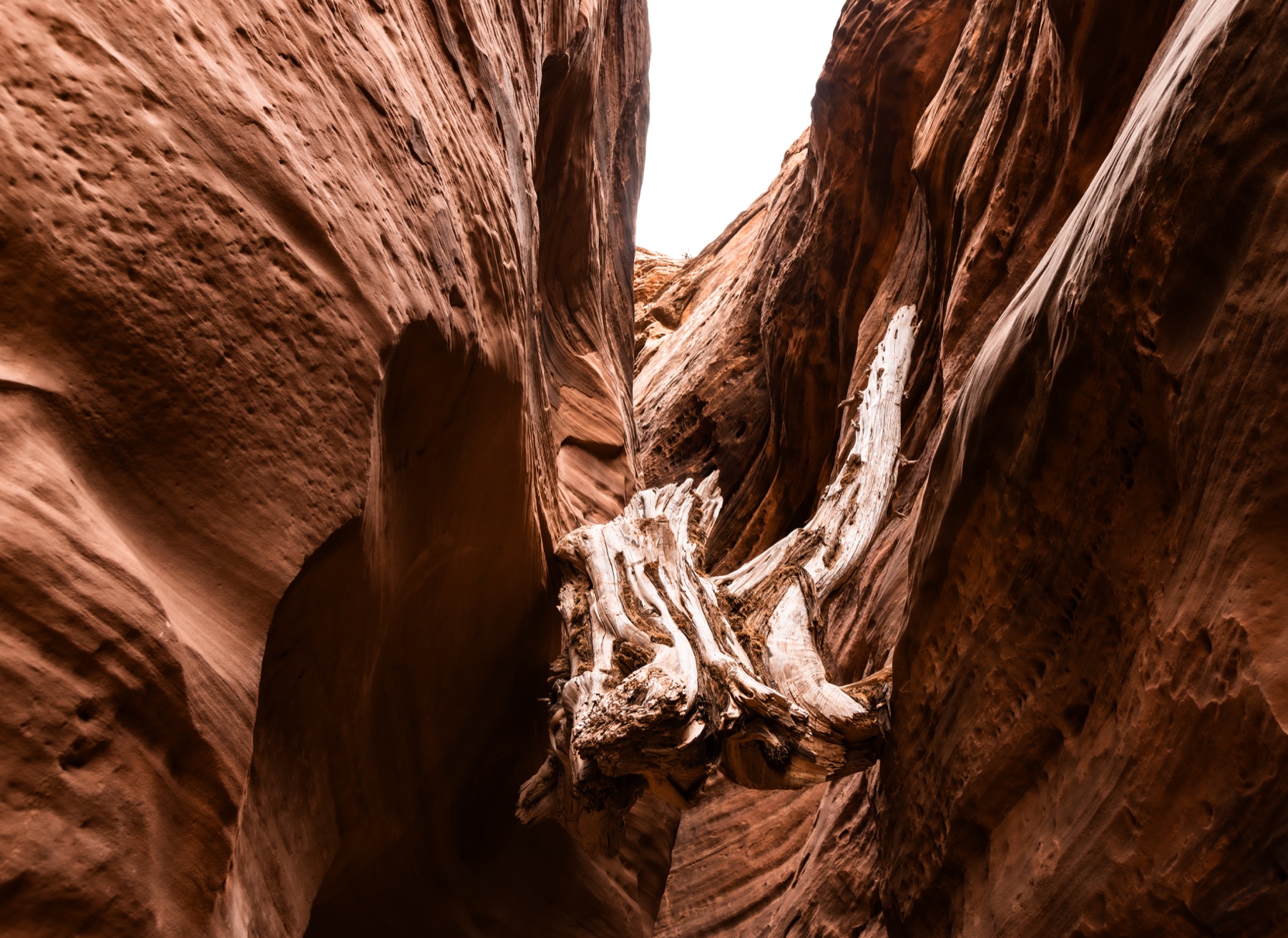 Buckskin Gulch, Arizona 2026