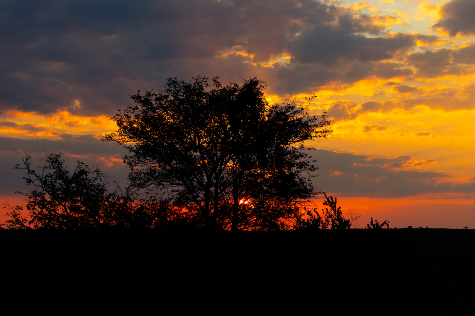 Kruger National Park 2025