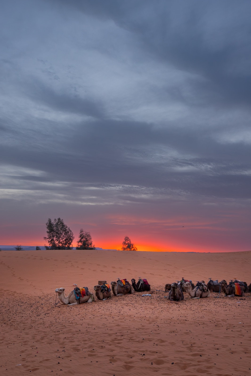Sahara Desert 2024