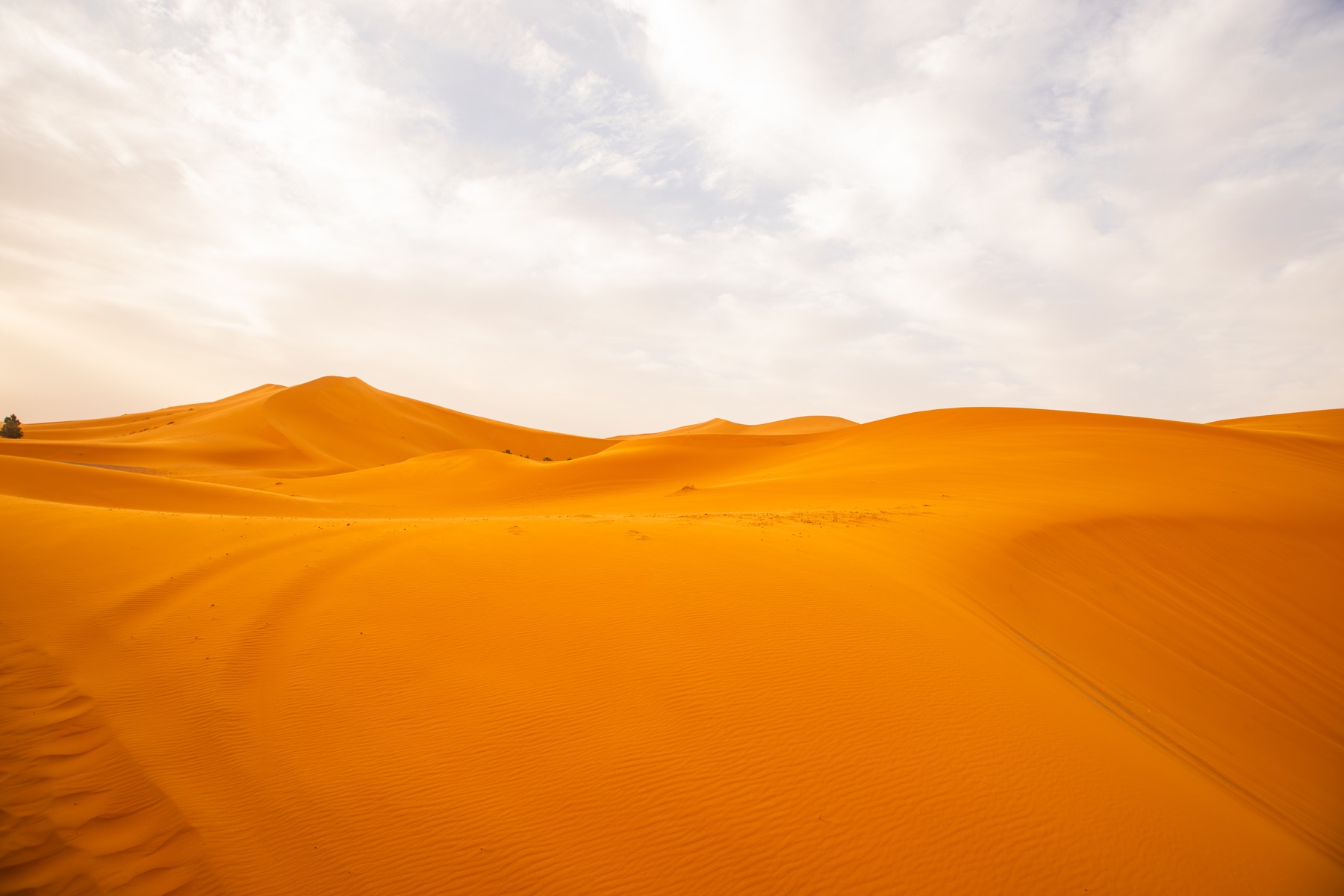 Sahara Desert 2024